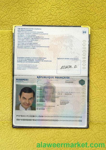 France passport photo look